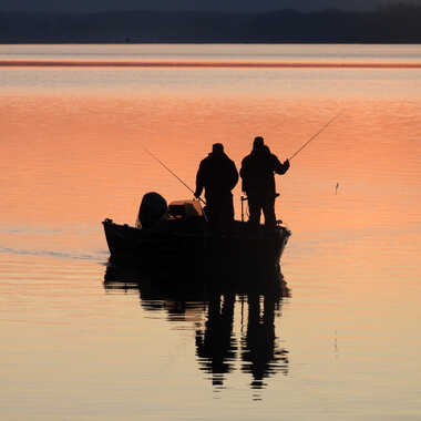 madine france par standeboux