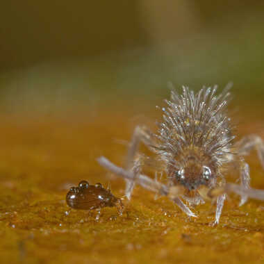 Rencontre! par JeBricole