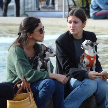 Gagnant du Concours Photo Amis