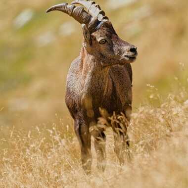 ça sent l'automne par Bernard-06