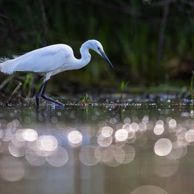 Pêcheur d'étoiles par jeromebouet