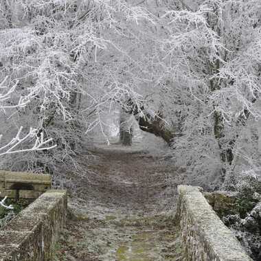 Gagnant du Concours Photo Hiver
