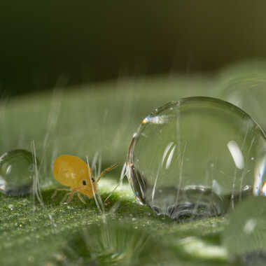 Toute fraîche du matin! par JeBricole
