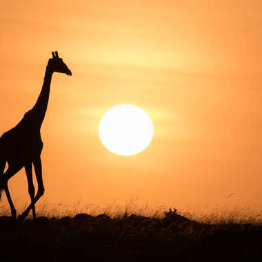 le jour se lève au Kenya par patouphoto