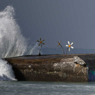Blockhaus fracassé par Chester54