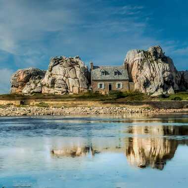 Bien protégée ! par Pappabox