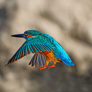 En suspension par Bernard-06