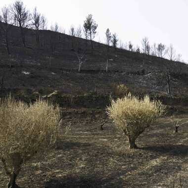 Gagnant du Concours Photo Chaleur estivale