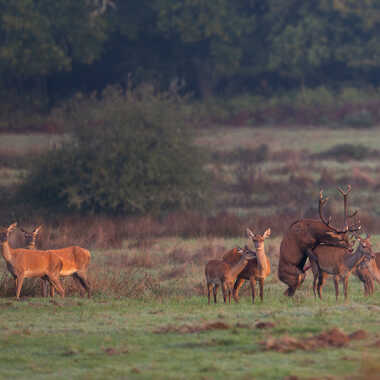 Quand il y a de la gène il n'y a pas de plaisir..... par jeromebouet