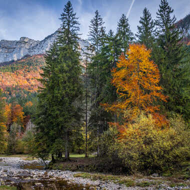 Toujours Saint Même par pietro38