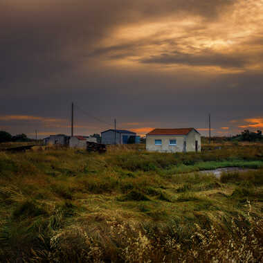 Abandon I... par Zavek