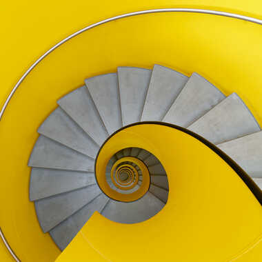 Escargot urbain par Gaillard