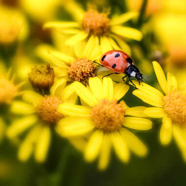 ce matin par Gilles-K