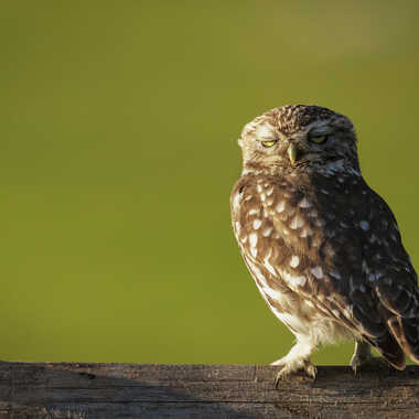 Il y a des jours comme ça :-) par Stefano
