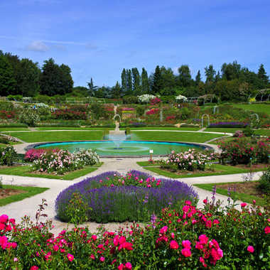 La Colline aux Oiseaux