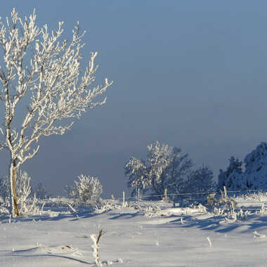 Gagnant du Concours Photo Glace et neige