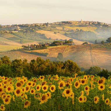 Belle Toscane par Jeanjean