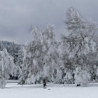 Meygal par Dominique-Murielle