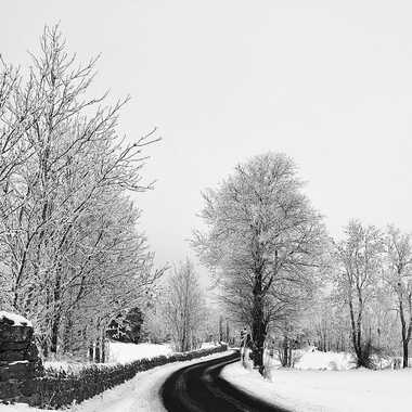 Un froid glacial par Dominique-Murielle