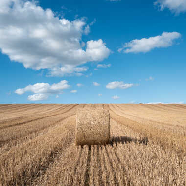 Gagnant du Concours Photo été 2024