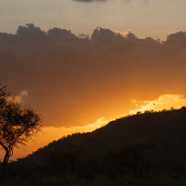 Fin de journée à Samburu par pietro38