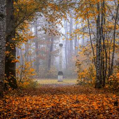 Colonne d'automne par Gilles-K