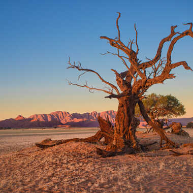 Au porte du desert. par patrick69220