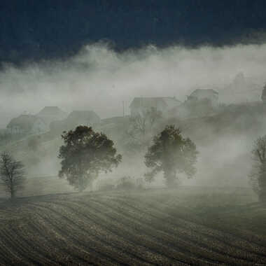 Brouillard automnale par Cattapon