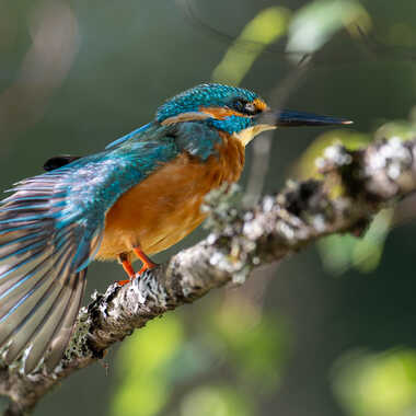 étirements matinaux par jeromebouet