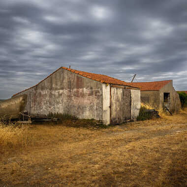 Abandon II... par Zavek