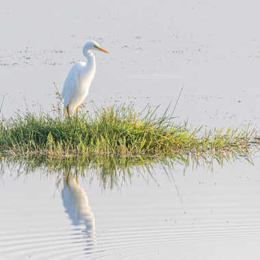Reflet pastel par pietro38