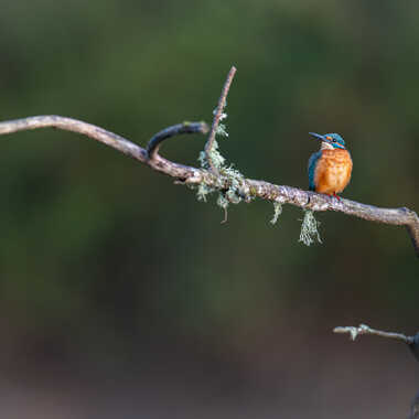Une touche de couleurs par jeromebouet