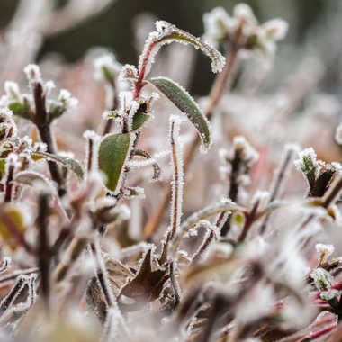 l'hiver est bien là !!! par bubu91