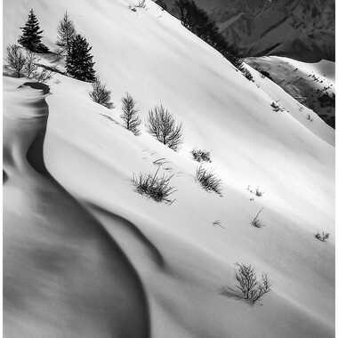 Gagnant du Concours Photo Neige