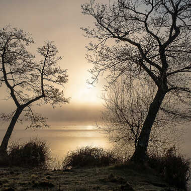 Gagnant du Concours Photo Beauté