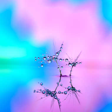 Magics droplets. par Philgreffe
