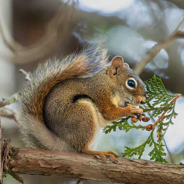 Bon appétit par jeromeh