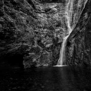 Nature monochrome (23) par ERASMUS