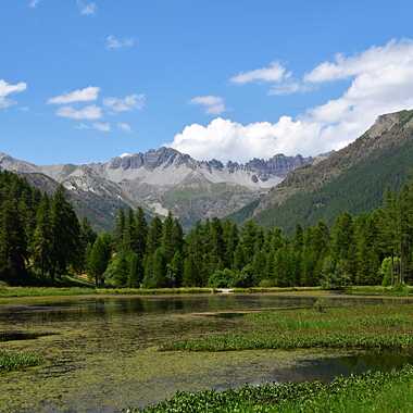 Lac de Roue par Dominique-Murielle