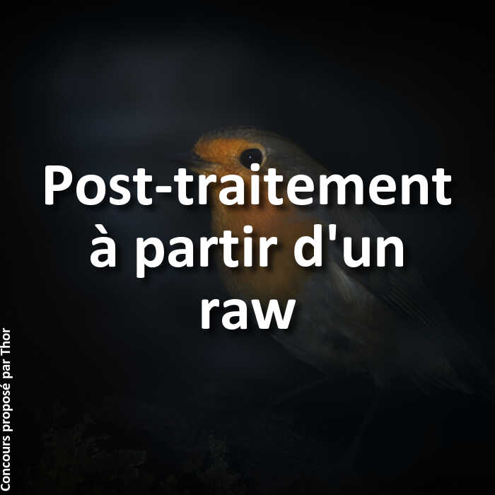 Concours Photo - Post-traitement à partir d'un raw