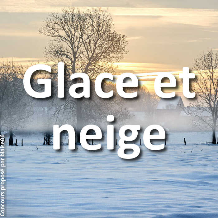 Concours Photo - Glace et neige