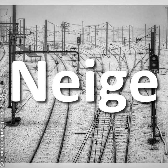 Concours Photo - Neige