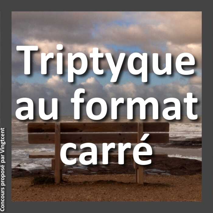 Concours Photo - Triptyque au format carré