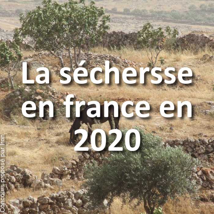 Concours Photo - La séchersse en france en 2020