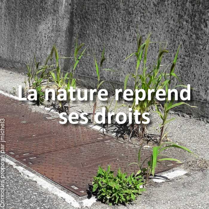 Concours Photo - La nature reprend ses droits