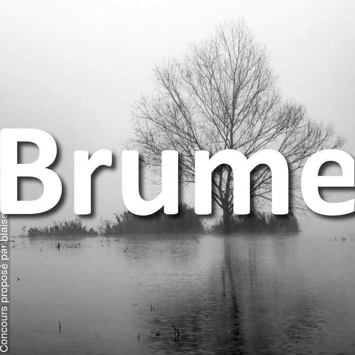 Concours Photo - Brume