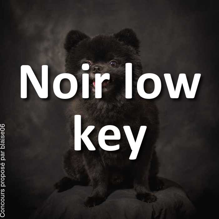 Concours Photo - Noir low key