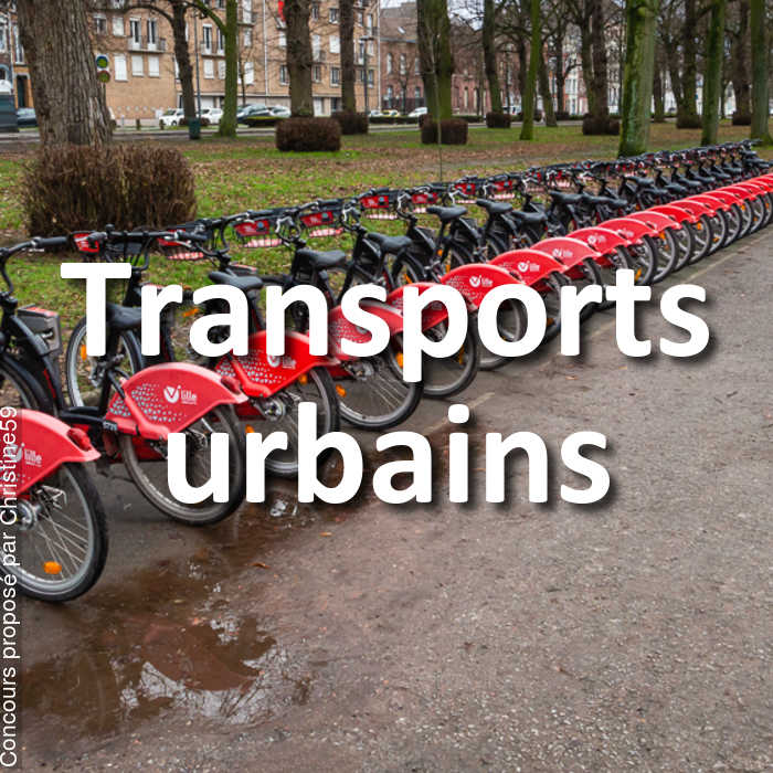 Concours Photo - Transports urbains