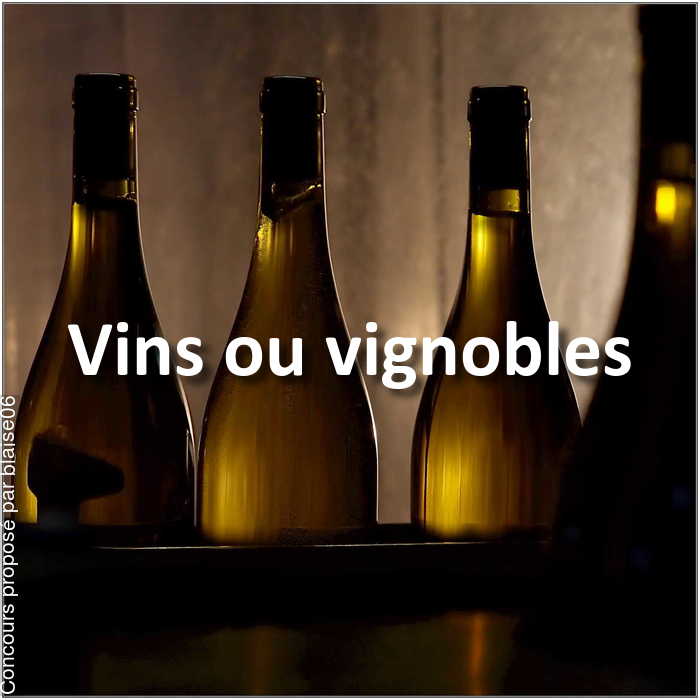 Concours Photo - Vins ou vignobles