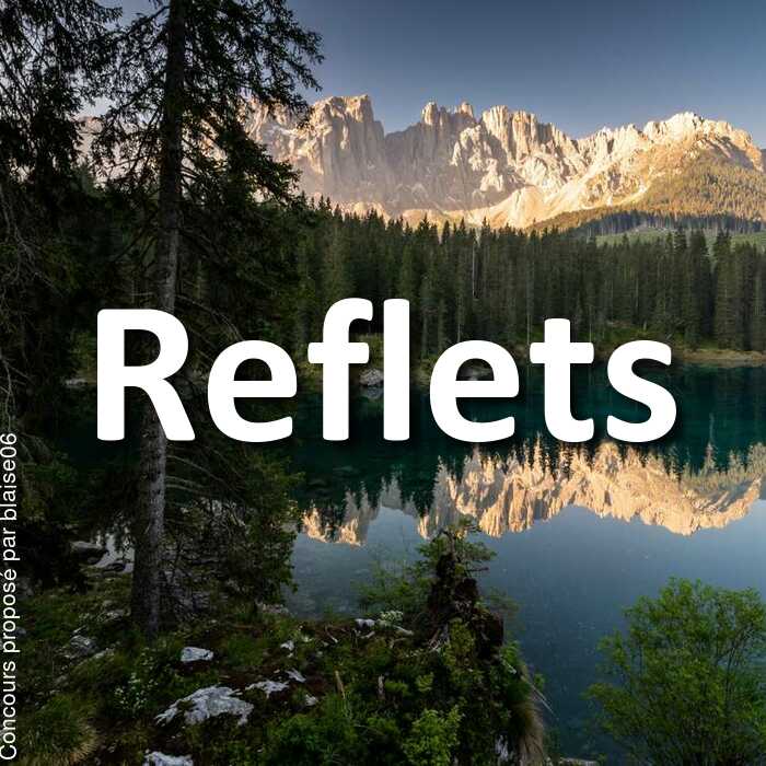Concours Photo - Reflets